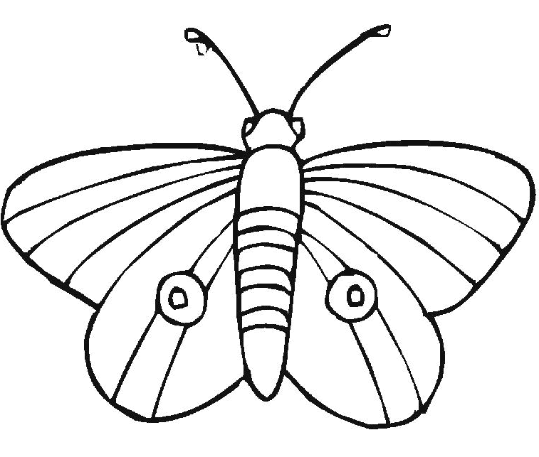Dessin à colorier: Papillon (Animaux) #15752 - Coloriages à Imprimer Gratuits