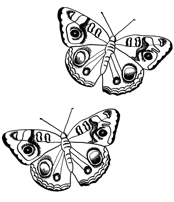 Dessin à colorier: Papillon (Animaux) #15764 - Coloriages à Imprimer Gratuits
