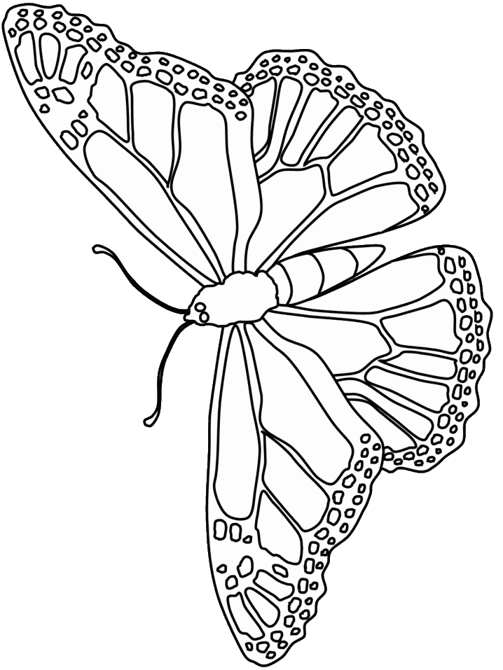 Dessin à colorier: Papillon (Animaux) #15773 - Coloriages à Imprimer Gratuits