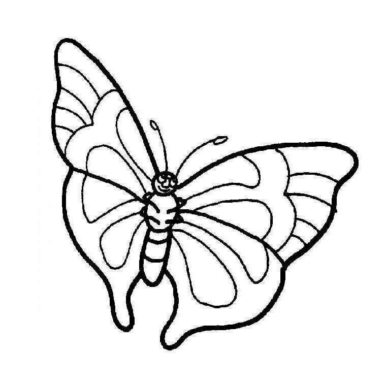 Dessin à colorier: Papillon (Animaux) #15777 - Coloriages à Imprimer Gratuits