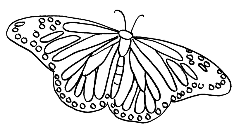 Dessin à colorier: Papillon (Animaux) #15785 - Coloriages à Imprimer Gratuits