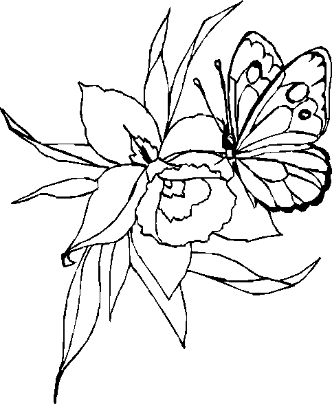 Dessin à colorier: Papillon (Animaux) #15790 - Coloriages à Imprimer Gratuits