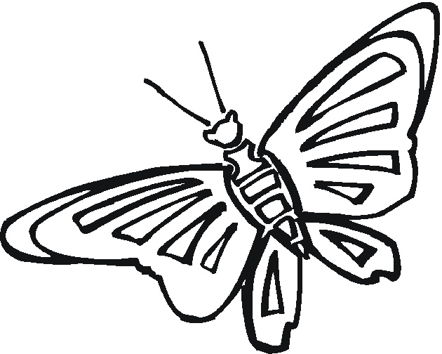 Dessin à colorier: Papillon (Animaux) #15813 - Coloriages à Imprimer Gratuits