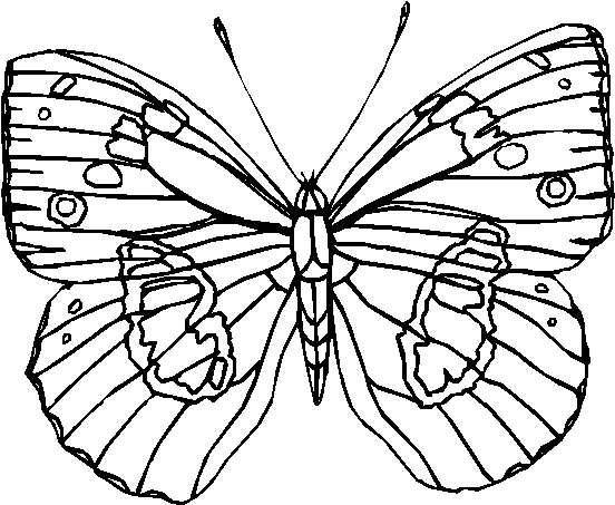 Dessin à colorier: Papillon (Animaux) #15814 - Coloriages à Imprimer Gratuits