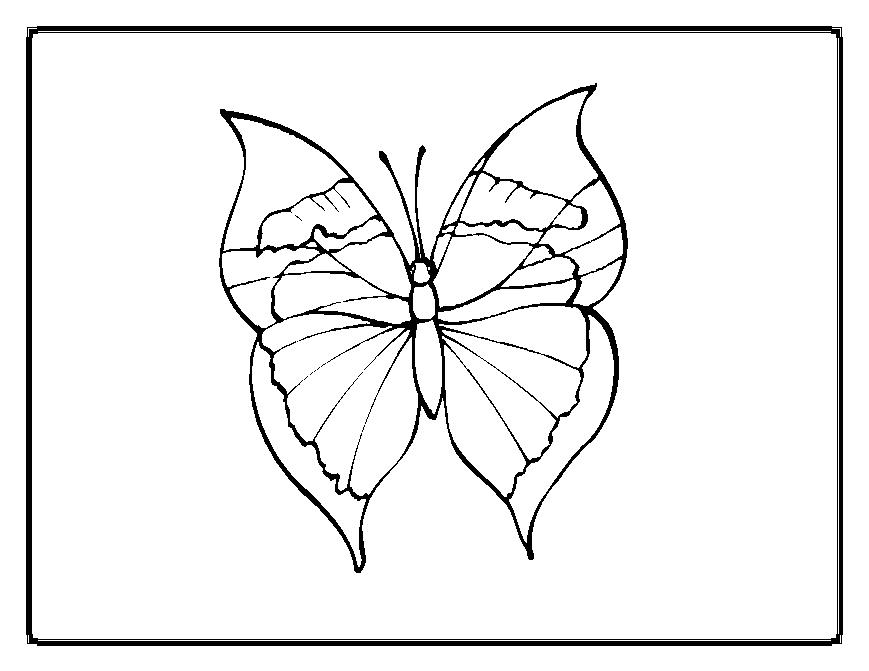 Dessin à colorier: Papillon (Animaux) #15822 - Coloriages à Imprimer Gratuits