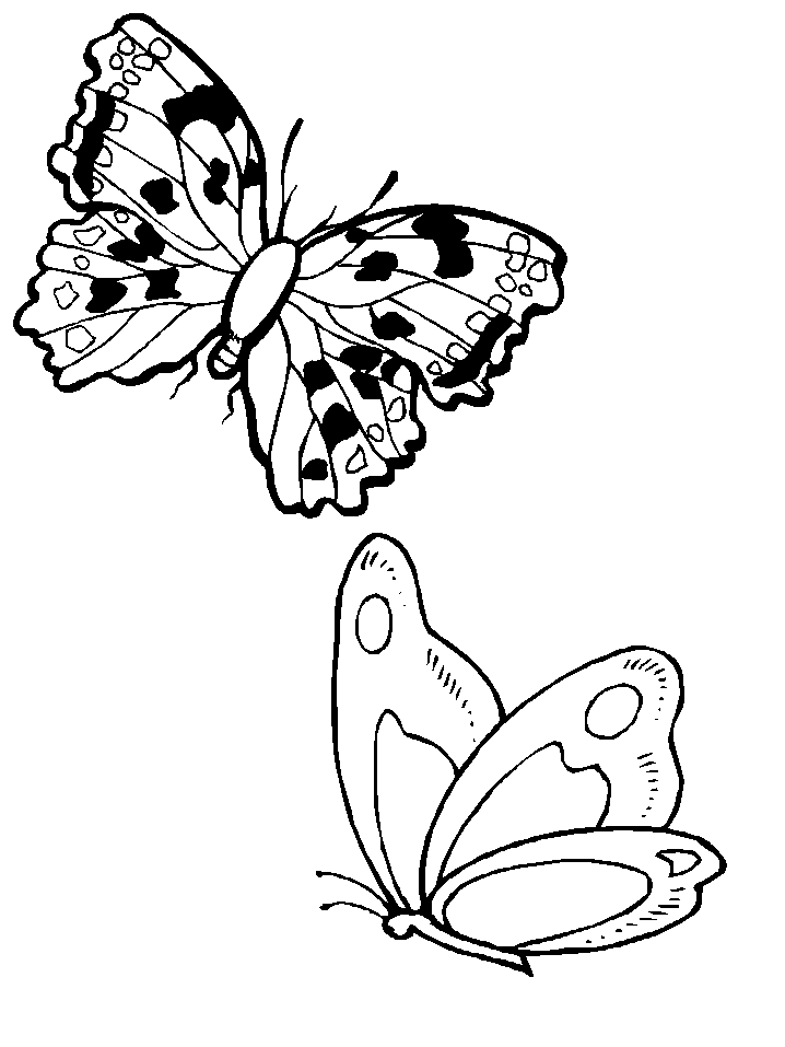 Dessin à colorier: Papillon (Animaux) #15828 - Coloriages à Imprimer Gratuits