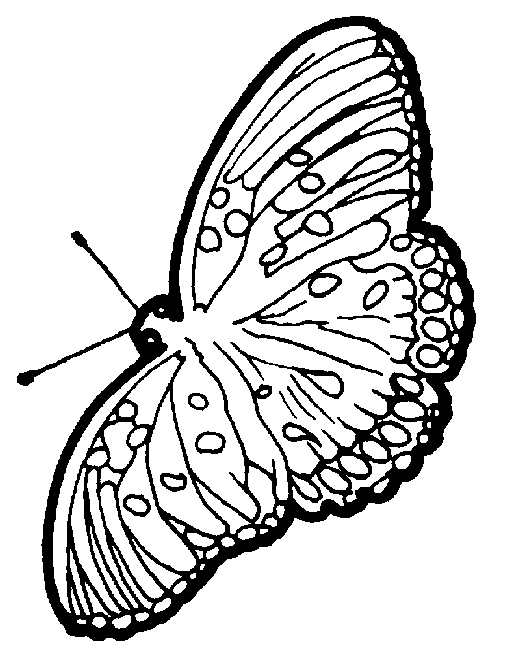 Dessin à colorier: Papillon (Animaux) #15837 - Coloriages à Imprimer Gratuits
