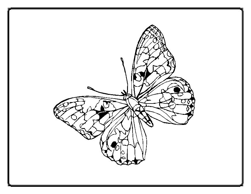 Dessin à colorier: Papillon (Animaux) #15838 - Coloriages à Imprimer Gratuits