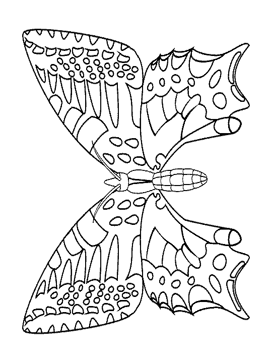 Dessin à colorier: Papillon (Animaux) #15844 - Coloriages à Imprimer Gratuits