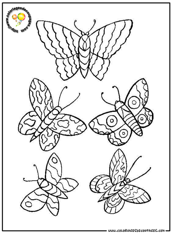 Dessin à colorier: Papillon (Animaux) #15845 - Coloriages à Imprimer Gratuits
