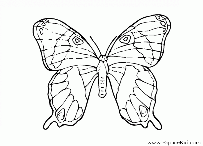 Dessin à colorier: Papillon (Animaux) #15857 - Coloriages à Imprimer Gratuits