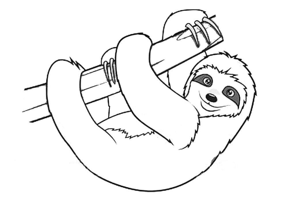 Joli coloriage Paresseux #210405 de la collection Animaux, prêt à imprimer pour petits et grands