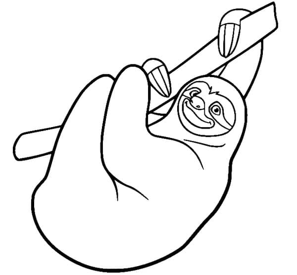Coloriage gratuit Paresseux #210436 de la collection Animaux à imprimer Coloriage gratuit Paresseux #210436 de la collection Animaux à imprimer