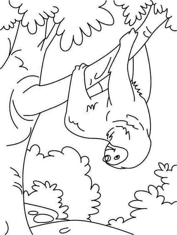 Dessin à colorier: Paresseux (Animaux) #210445 - Coloriages à Imprimer Gratuits