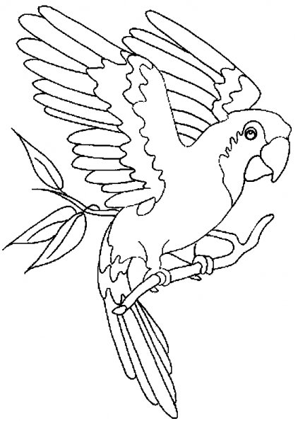 Dessin à colorier: Perroquet (Animaux) #16072 - Coloriages à Imprimer Gratuits
