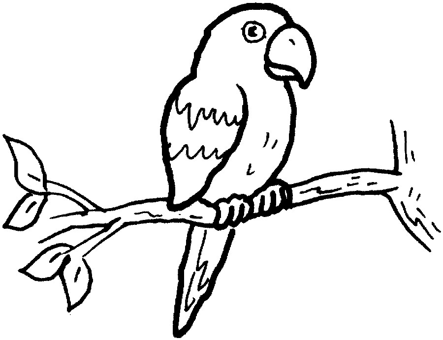 Dessin à colorier: Perroquet (Animaux) #16074 - Coloriages à Imprimer Gratuits