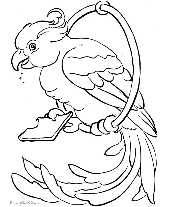 Dessin à colorier: Perroquet (Animaux) #16141 - Coloriages à Imprimer Gratuits