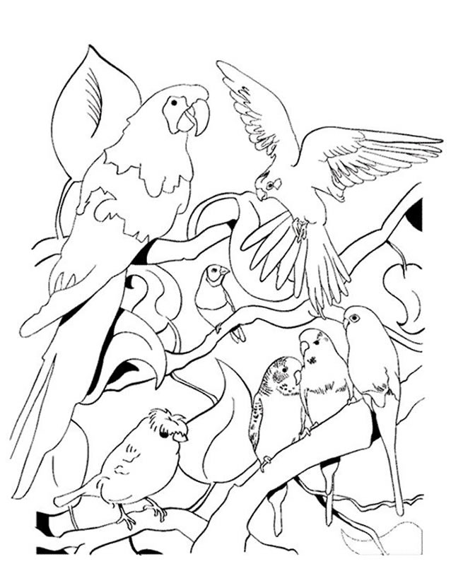 Dessin à colorier: Perroquet (Animaux) #16147 - Coloriages à Imprimer Gratuits
