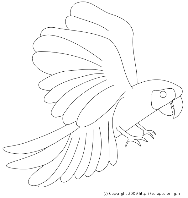 Dessin à colorier: Perroquet (Animaux) #16160 - Coloriages à Imprimer Gratuits