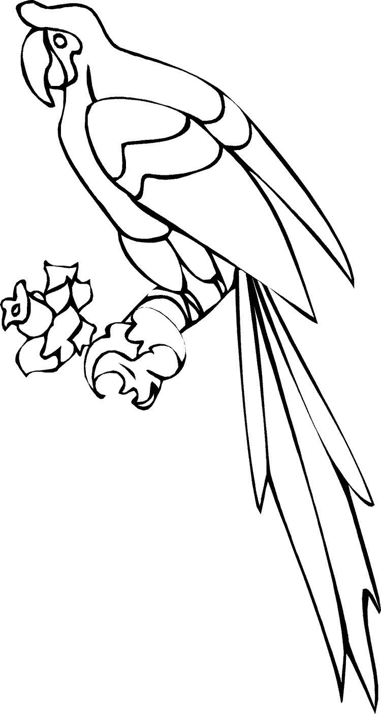 Dessin à colorier: Perroquet (Animaux) #16184 - Coloriages à Imprimer Gratuits