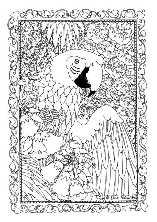 Dessin à colorier: Perroquet (Animaux) #16190 - Coloriages à Imprimer Gratuits