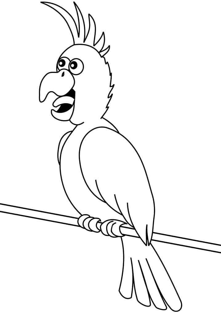 Dessin à colorier Perroquet #179095 issu de la collection Animaux, prêt à imprimer