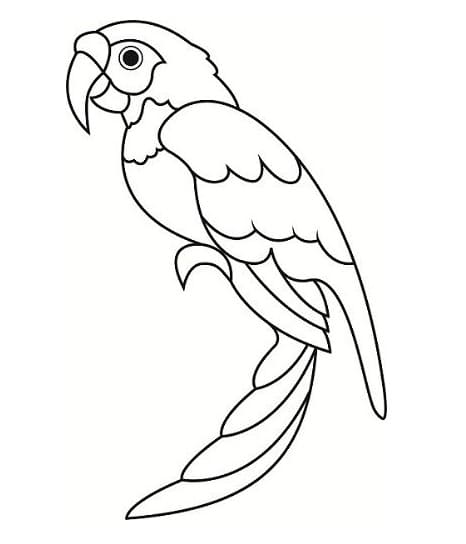 Illustration au trait Perroquet #179096 de la collection Animaux à colorier gratuitement