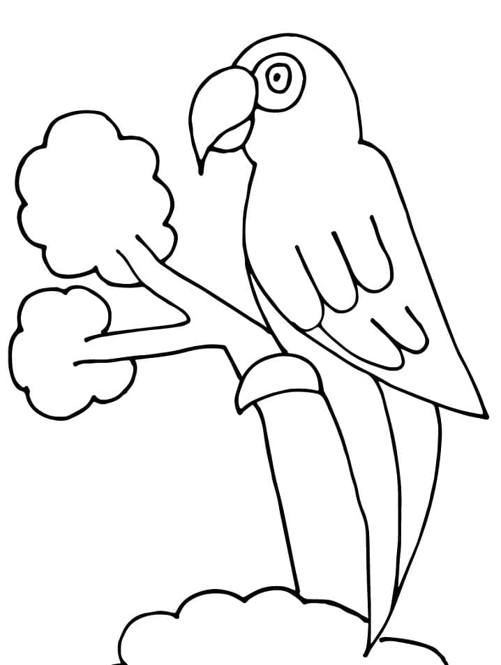 Coloriage gratuit Perroquet #179100 de la collection Animaux à imprimer