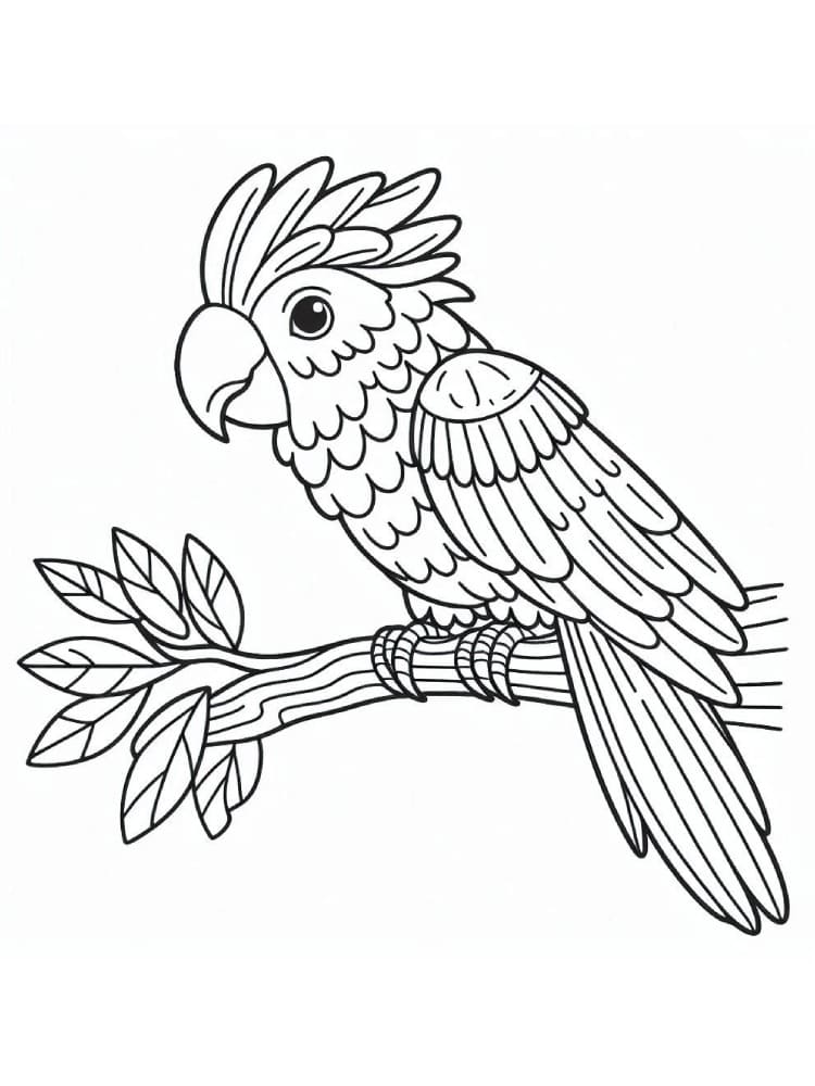 Coloriage gratuit Perroquet #217781 de la collection Animaux à imprimer