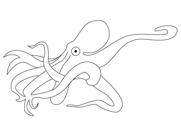 Dessin à colorier: Pieuvre (Animaux) #18977 - Coloriages à Imprimer Gratuits