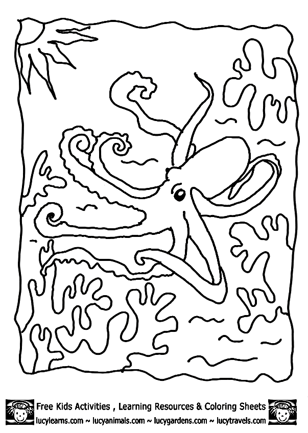 Dessin à colorier: Pieuvre (Animaux) #19071 - Coloriages à Imprimer Gratuits