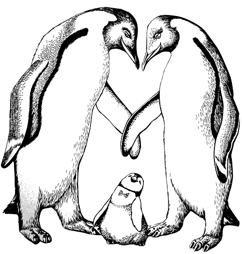 Dessin à colorier: Pingouin (Animaux) #16854 - Coloriages à Imprimer Gratuits