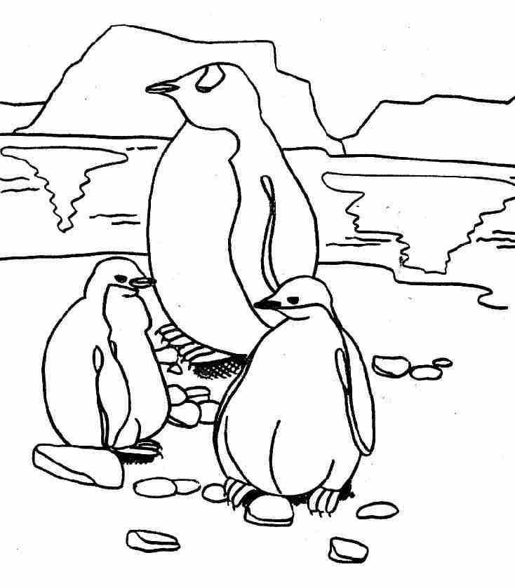 Dessin à colorier: Pingouin (Animaux) #16876 - Coloriages à Imprimer Gratuits