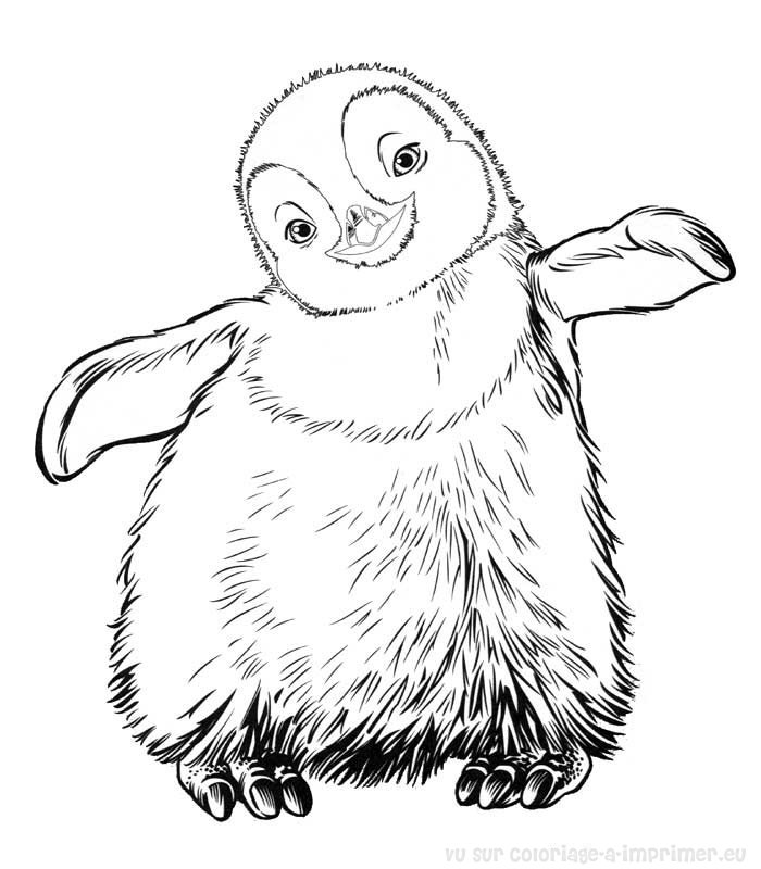 Dessin à colorier: Pingouin (Animaux) #16887 - Coloriages à Imprimer Gratuits