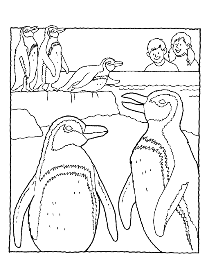 Dessin à colorier: Pingouin (Animaux) #16901 - Coloriages à Imprimer Gratuits