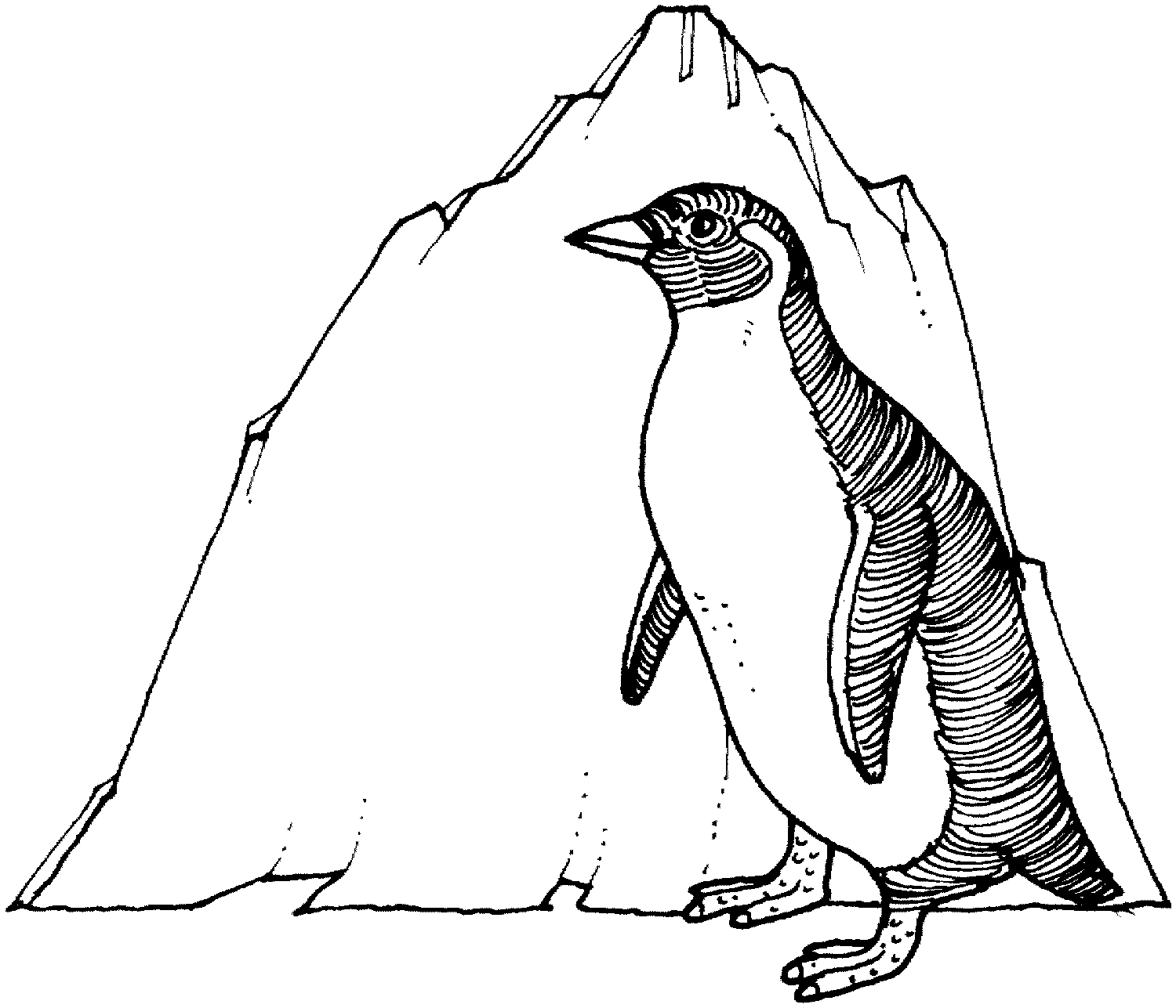 Coloriages Pingouin Animaux Album De Coloriages