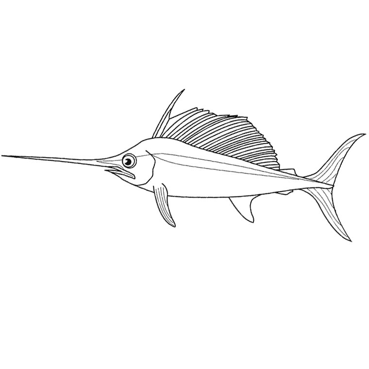 Dessin à colorier: Poisson (Animaux) #17109 - Coloriages à Imprimer Gratuits