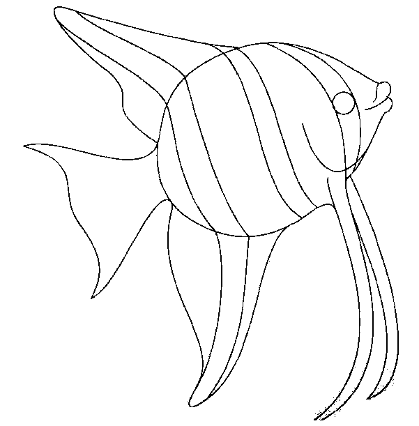 Dessin à colorier: Poisson (Animaux) #17143 - Coloriages à Imprimer Gratuits