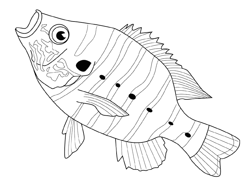 Dessin à colorier: Poisson (Animaux) #17201 - Coloriages à Imprimer Gratuits