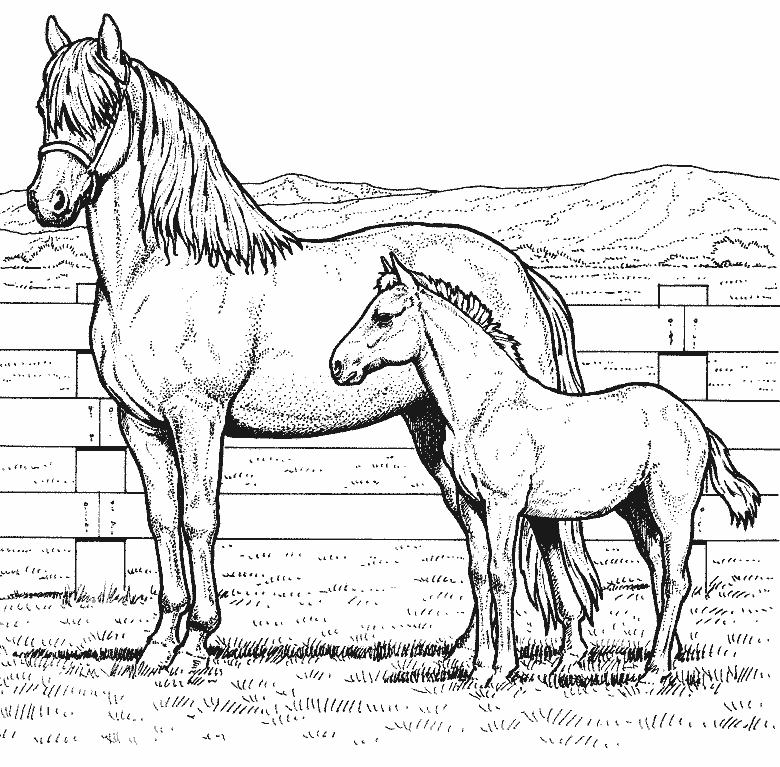 Dessin à colorier: Poney (Animaux) #17967 - Coloriages à Imprimer Gratuits