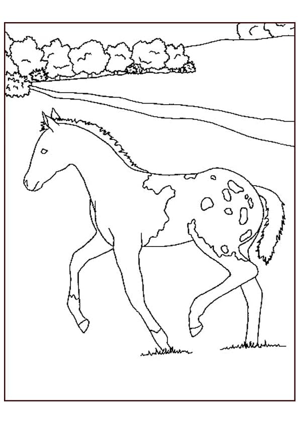 Coloriage gratuit pour enfants et adultes Poney #214240, collection Animaux
