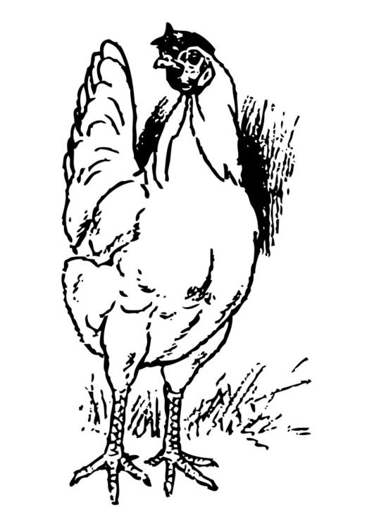 Dessin à colorier: Poule (Animaux) #17460 - Coloriages à Imprimer Gratuits