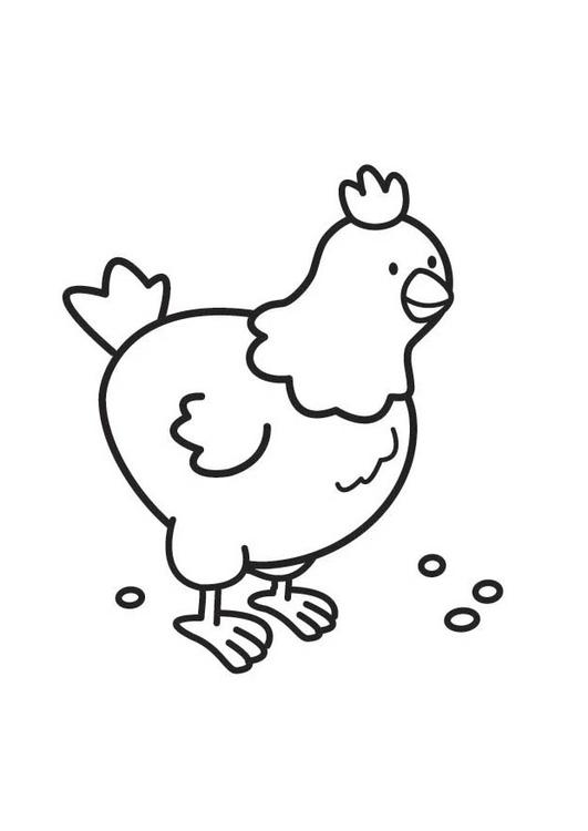 Dessin à colorier: Poule (Animaux) #17461 - Coloriages à Imprimer Gratuits