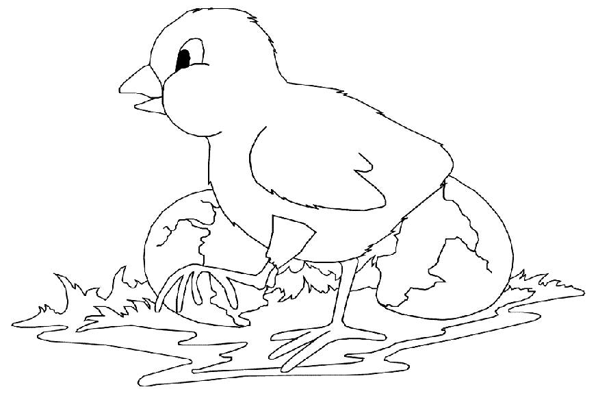 Dessin à colorier: Poule (Animaux) #17481 - Coloriages à Imprimer Gratuits