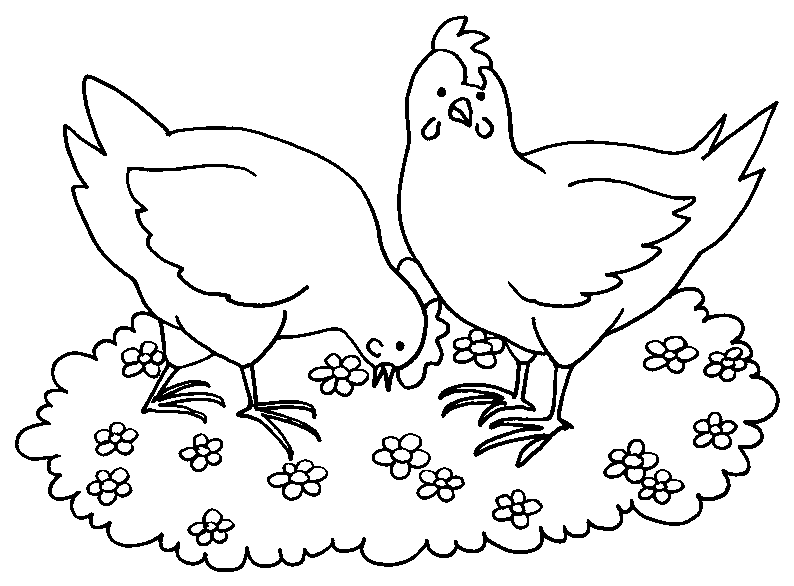 Dessin à colorier: Poule (Animaux) #17505 - Coloriages à Imprimer Gratuits