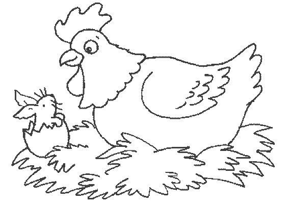 Dessin à colorier: Poule (Animaux) #17508 - Coloriages à Imprimer Gratuits