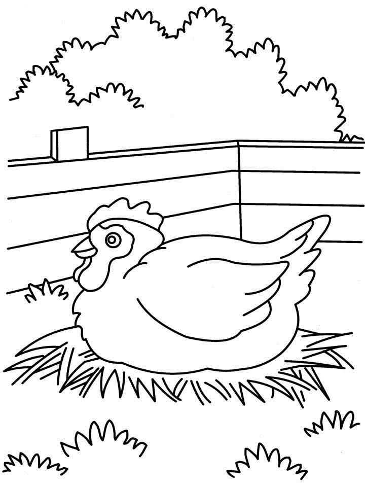Dessin à colorier: Poule (Animaux) #17535 - Coloriages à Imprimer Gratuits