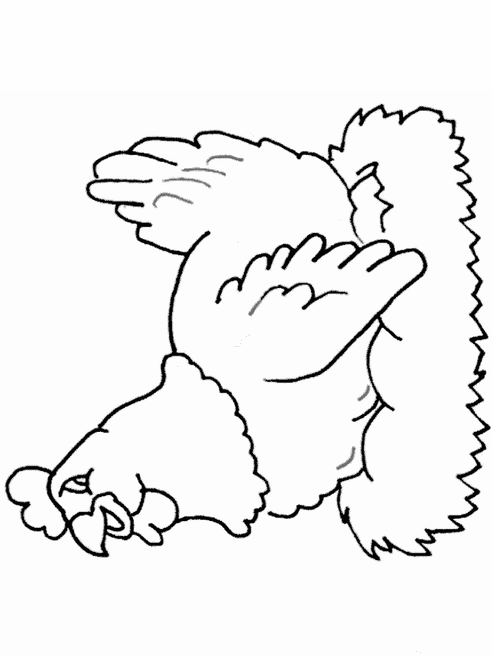 Dessin à colorier: Poule (Animaux) #17541 - Coloriages à Imprimer Gratuits