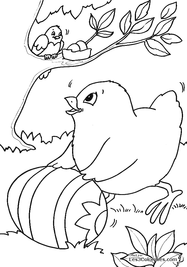 Dessin à colorier: Poule (Animaux) #17546 - Coloriages à Imprimer Gratuits