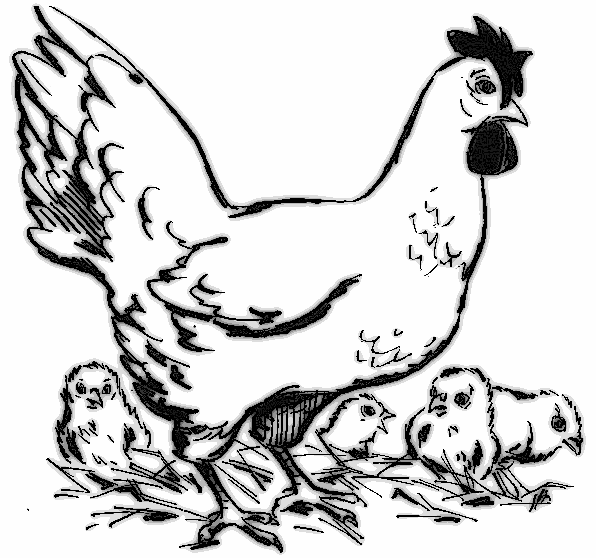 Dessin à colorier: Poule (Animaux) #17603 - Coloriages à Imprimer Gratuits